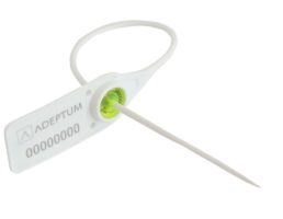 fembetetes-muanyag-plomba-arrow